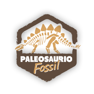 Paleosaurio Fossil