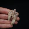 Molar de Basilosaurus