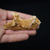 Maxilar de Spinosaurus aegyptiacus