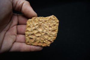 Escudo de piel de cocodrilo