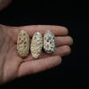 Conjunto de tres piñas fósiles