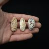 Conjunto de tres piñas fósiles