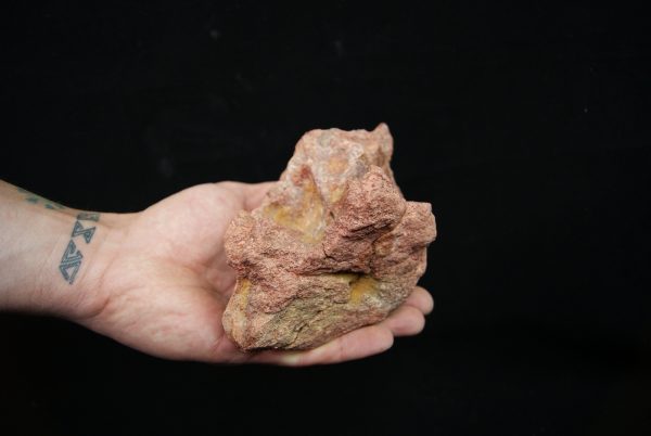Hueso fósil del Valle de Kem Kem