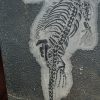 Fósil de Keichousaurus hui en matriz