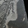Fósil de Keichousaurus hui en matriz