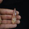 Spinosaurus aegyptiacus