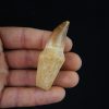 Mosasaurio - Liodon anceps