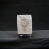 Ammonites Dactylioceras