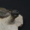 Leonaspis en vuelo con Reedops