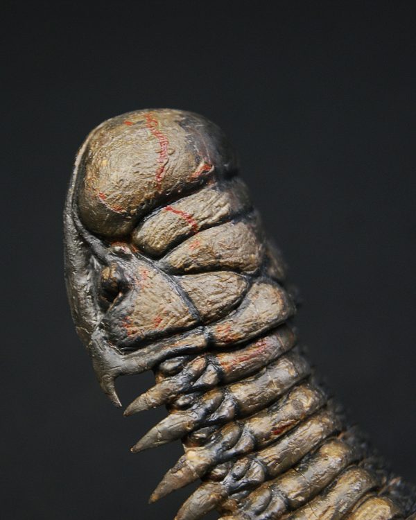 Crotalocephalus en vuelo