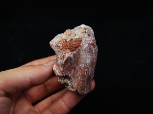 Fragmento de vértebra de dinosaurio