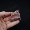 Maxilar parcial de Spinosaurus
