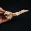 Hueso craneal de Elosuchus cherifiensis