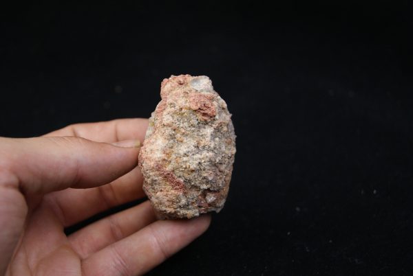 Coprolito del Valle de Kem Kem