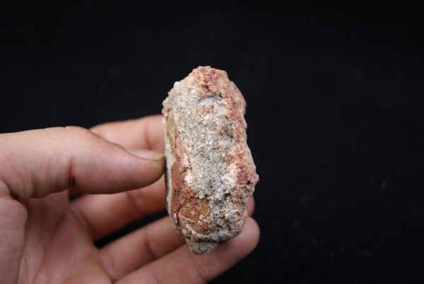 Coprolito del Valle de Kem Kem