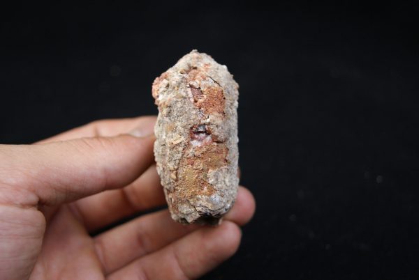Coprolito del Valle de Kem Kem