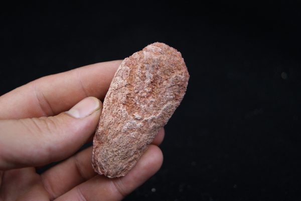 Coprolito del Valle de Kem Kem