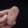 Coprolito del Valle de Kem Kem