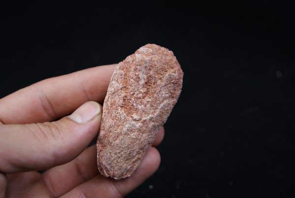 Coprolito del Valle de Kem Kem