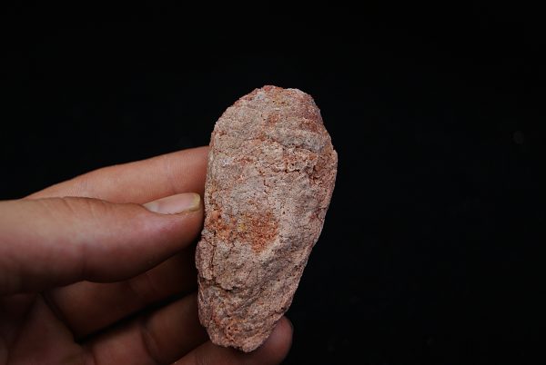 Coprolito del Valle de Kem Kem