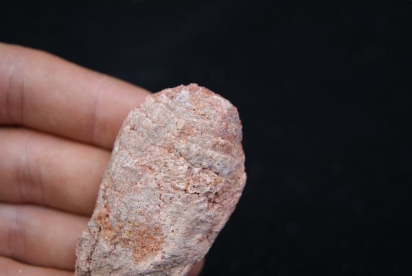 Coprolito del Valle de Kem Kem