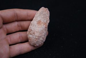 Coprolito del Valle de Kem Kem