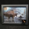 Cuadro con diente de Spinosaurus