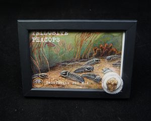 Cuadro con trilobite