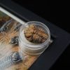 Cuadro con trilobite