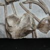 Esqueleto de ictiosaurio