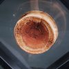 Vértebra de Onchopristis numidus