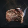 Vértebra de raptor Theropoda indet.