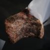 Vértebra de raptor Theropoda indet.