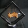 Hueso de dinosaurio kem kem