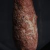 Coprolito de calidad con arenisca