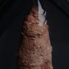 Coprolito de calidad con arenisca