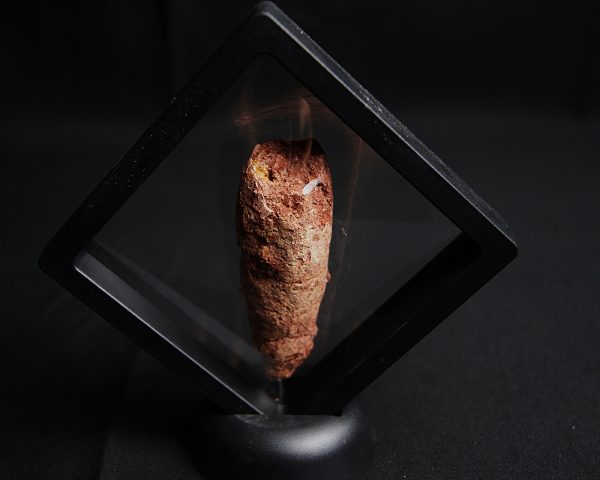 Coprolito de calidad con arenisca