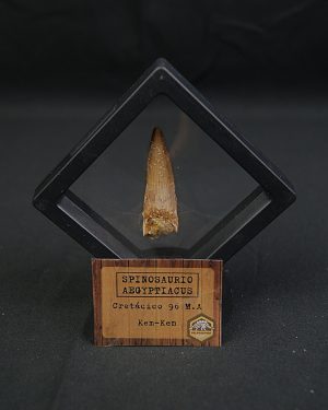 Spinosaurus aegyptiacus