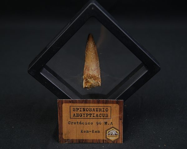 Spinosaurus aegyptiacus