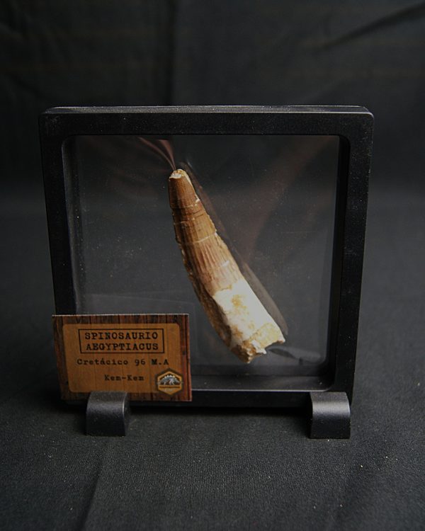 Spinosaurus aegyptiacus