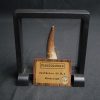 Diente de Plesiosaurus