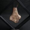 Hueso de dinosaurio indeterminado