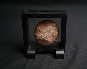 Osteodermo posible Ankylosauria