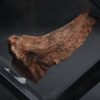 Mandíbula parcial de Mawsonia