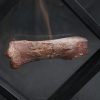 Gastralia de Carcharodontosaurus