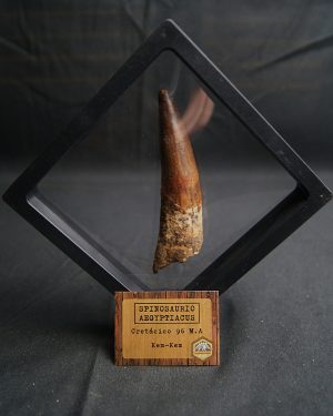 Spinosaurus aegyptiacus