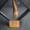 Spinosaurus aegyptiacus