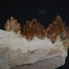 Mandíbula parcial de Dorudon atrox