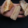 Costillas fósiles del Valle de Kem Kem