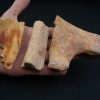 Costillas fósiles del Valle de Kem Kem